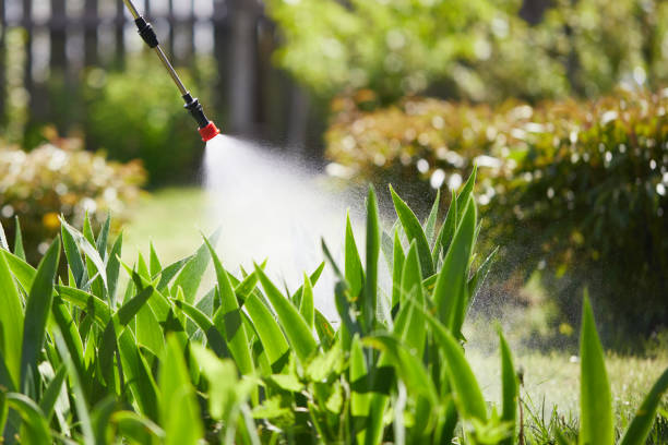 24/7 Emergency Mosquito Control experts in Aspen, CO