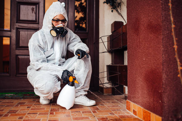 Reliable Mosquito Control contractor in Aspen, CO by Show Me Pest Control